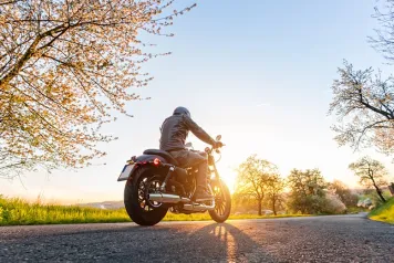 Un motard de dos qui roule sur une route ensoleillée